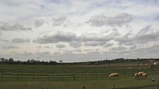 Opava